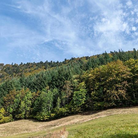 Gasthaus Zur Linde- Napf Oberried  Esterno foto