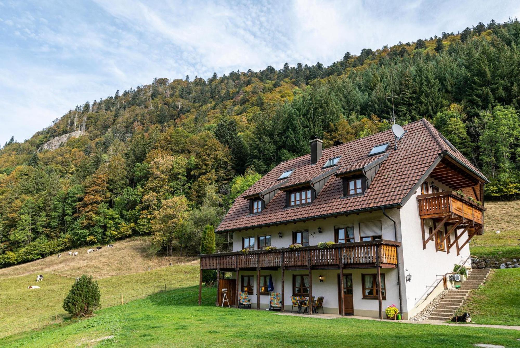 Gasthaus Zur Linde- Napf Oberried  Esterno foto