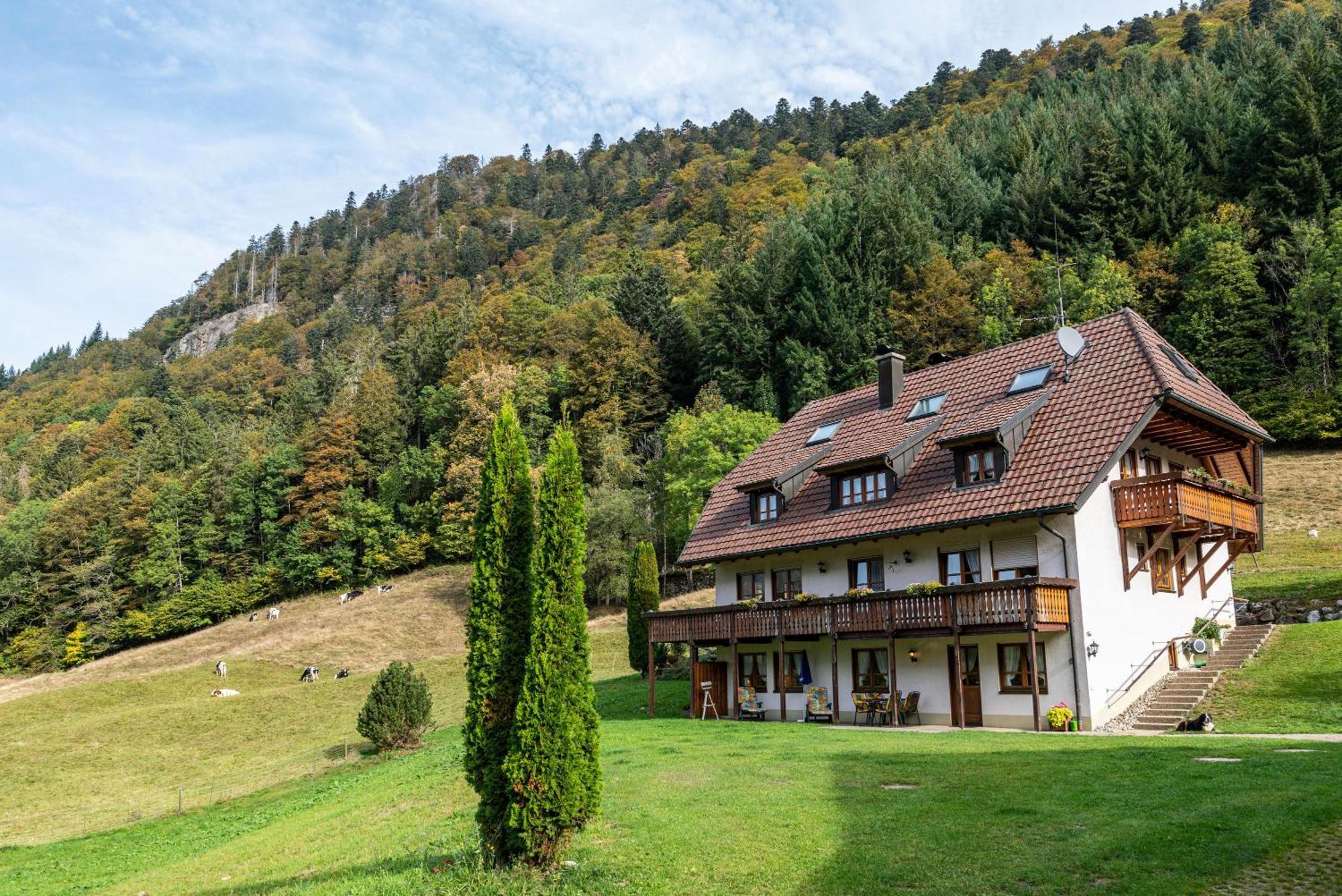 Gasthaus Zur Linde- Napf Oberried  Esterno foto