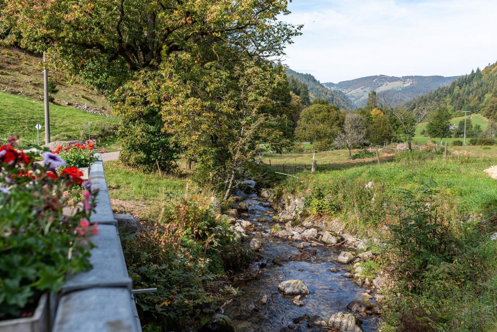 Gasthaus Zur Linde- Napf Oberried  Esterno foto